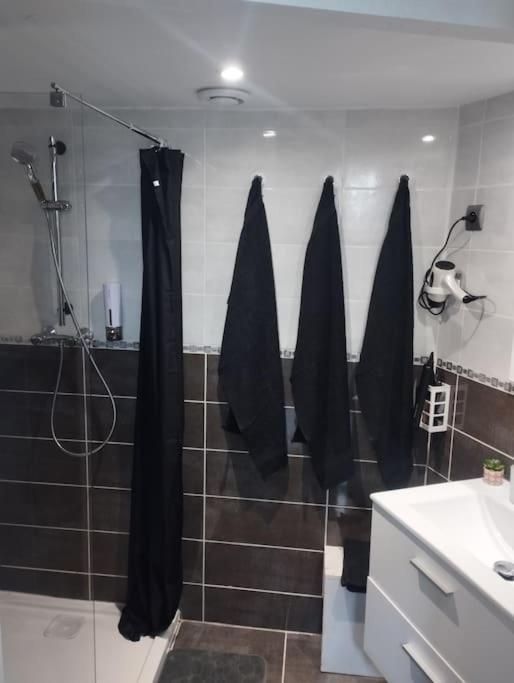 Appartement Coeur De Ville! Foix Eksteriør billede